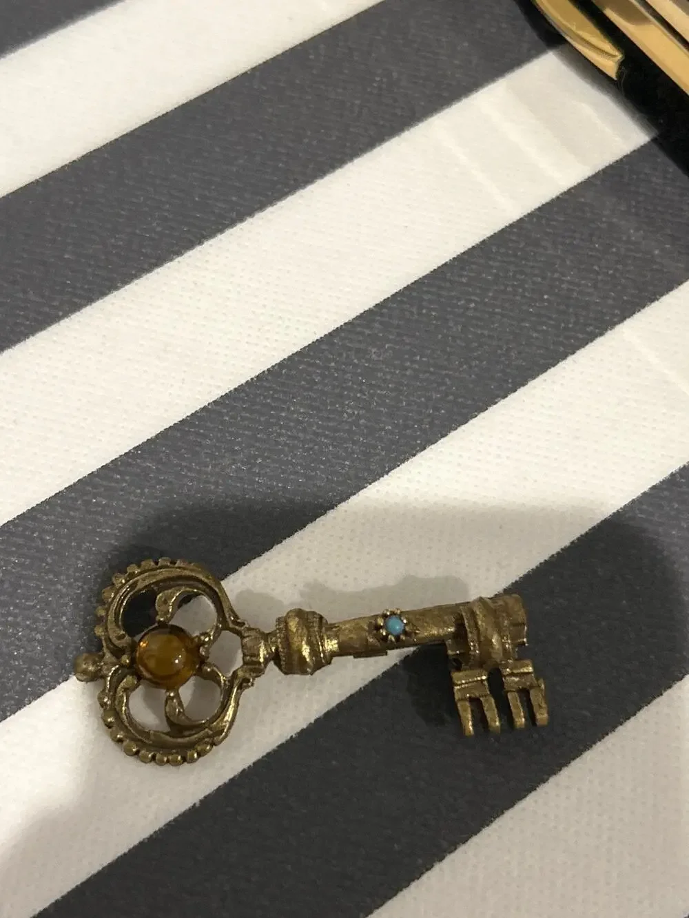 Skeleton Key Brooch